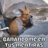 BANANDOMe en TUS MENTIRAS