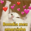 Bomdia meu amorzinho