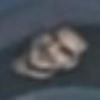 Hayatbitti 25