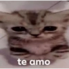 Memes irônicos novos 13