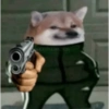 Sukkuu 15