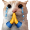Kitties 7