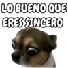 🐕🐶Perrito sin palabras 😬🙁 7