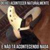 Pets Fofos Memes 5 🐾 9