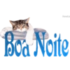 Favori.to Boa Noite