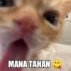 MANA TAHAN