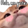 Hola, me gustas lll ///
