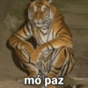😛 Memes pra responder na Zuera 25