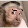 🧿🧿🧿 25