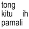 Anomali sunda  14