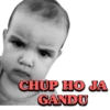 GANDU VIP ONL CITREO