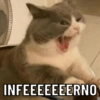 FIGURINHAS SEM PACIÊNCIA 7