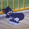 Tom & Jerry 6
