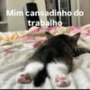 Mim cansadinho do trabalho