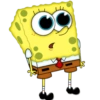 OS -