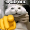 Tengoklah tuh HA