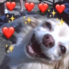 MANDE PRO SEU(A) CRUSH ✨ 8