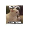 NJALUK DIANTEMI