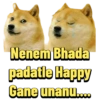 Ca Nenem Bhada padatle Happy Gane unanu....