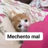 Memes Respuestas 4 6