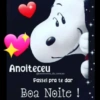 Boa noite 96 24