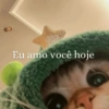 Melhores figurinhas  13
