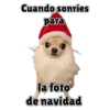 Memes navideños 🎄🎅 13