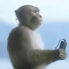 Mais miquitos😜 5