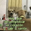 Memes con texto 6 🏝️👀 6