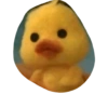 Bebek 9