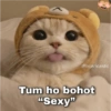 Cute cats Hindi 8