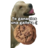 Te ganastes una galleta :)