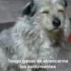 Memes con texto 6 🏝️👀 9