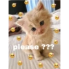 please ???