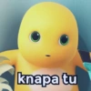 knapa tu