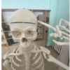 Memes de esqueletos ☠️💀🩻 17