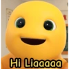 Hi Liaaaaa