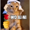 Meme Kucing #3 9
