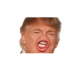 Facial Expressions 8