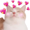 AMOR DE ANIMALITOS 6