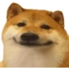 Sukkuu 22