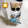 Gatitos. | @ocenferios  Haki. 7