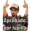 Aprobado por lupillo
