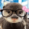 🤨 ANIMALITOS MOODS 🤨 10