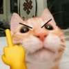 Michitos para enviar 😺💘🤭 4