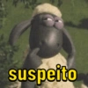 Pack de variadas  5