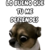 🐕🐶Perrito sin palabras 😬🙁 6