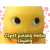 Cepet pulang medio Sayang