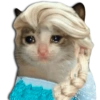Gatos Llorando 14