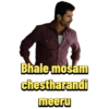 Bhale mosam chestharandi meeru
